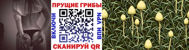 OMG рабочий сайт  Апрелевка  Псилоцибиновые грибы Magic Shrooms 